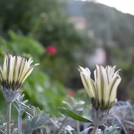 Sunset Lefkas Prázdninový dům *