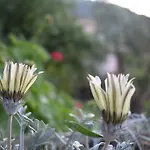 Sunset Lefkas Holiday home *