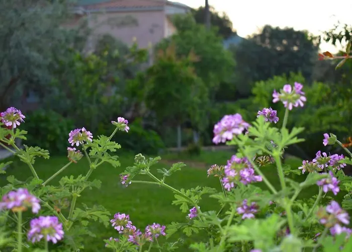 Sunset Lefkas * Agios Ioannis (Lefkada)