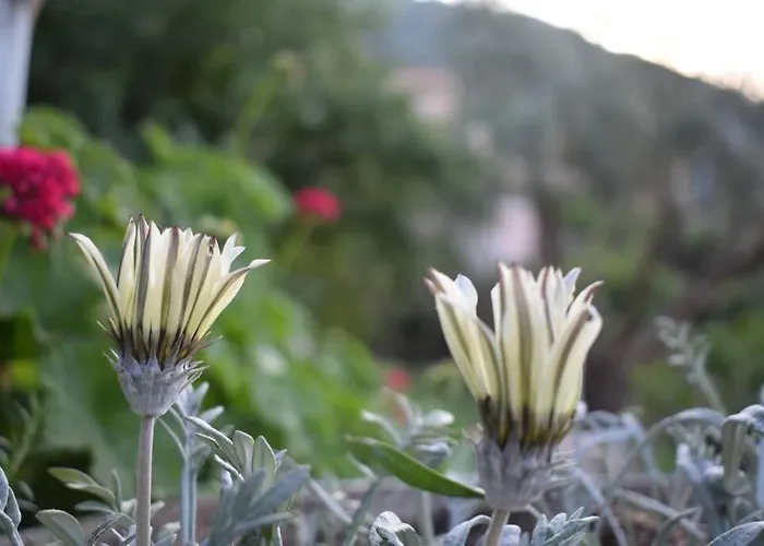 Sunset Lefkas Holiday home *